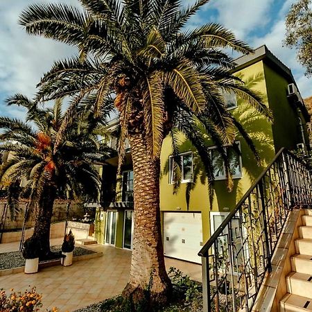 Olive Garden Apartment Петровац Экстерьер фото